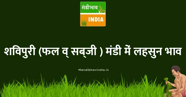 garlic भाव
